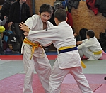coko Kaplice2014__37.jpg