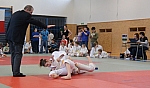 coko Kaplice2014__42.jpg