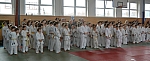 coko Kaplice2014__43.jpg