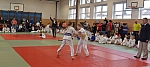 coko Kaplice2014__49.jpg
