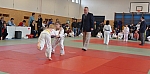coko Kaplice2014__53.jpg