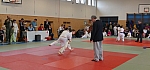 coko Kaplice2014__54.jpg