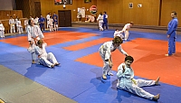 DSC_1772.jpg