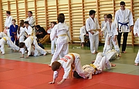 2 005.jpg