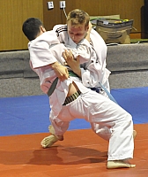 KP Pisek 2015_31.jpg