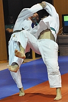 KP Pisek 2015_35.jpg