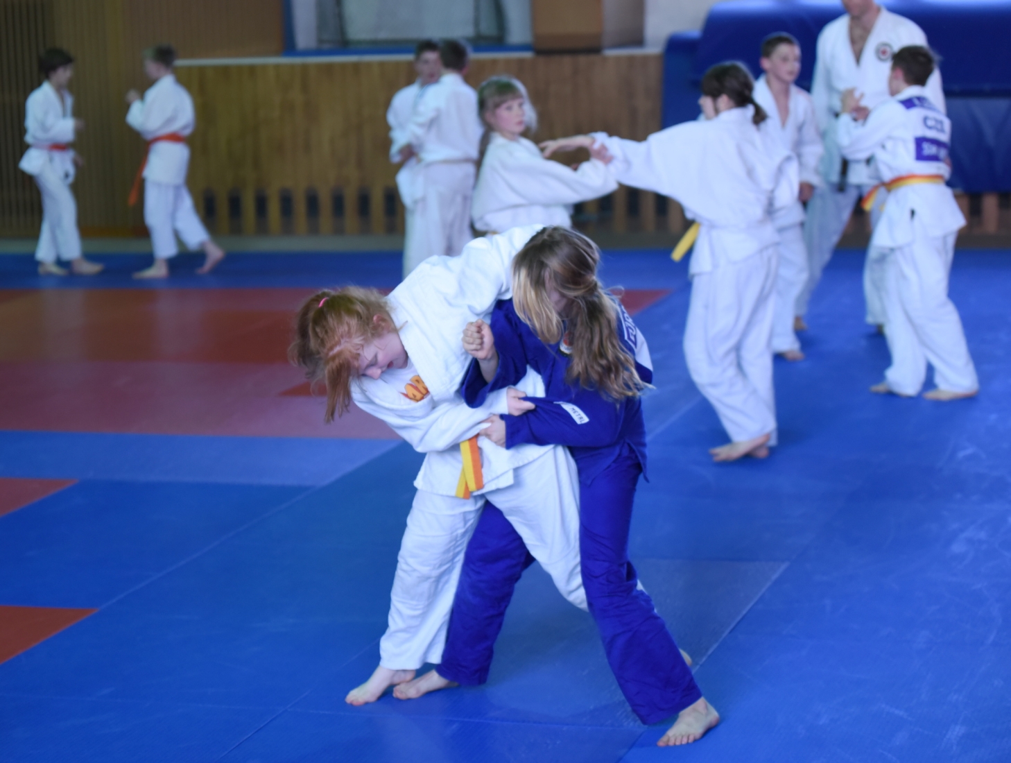 KT Pisek 2015_4_10.jpg