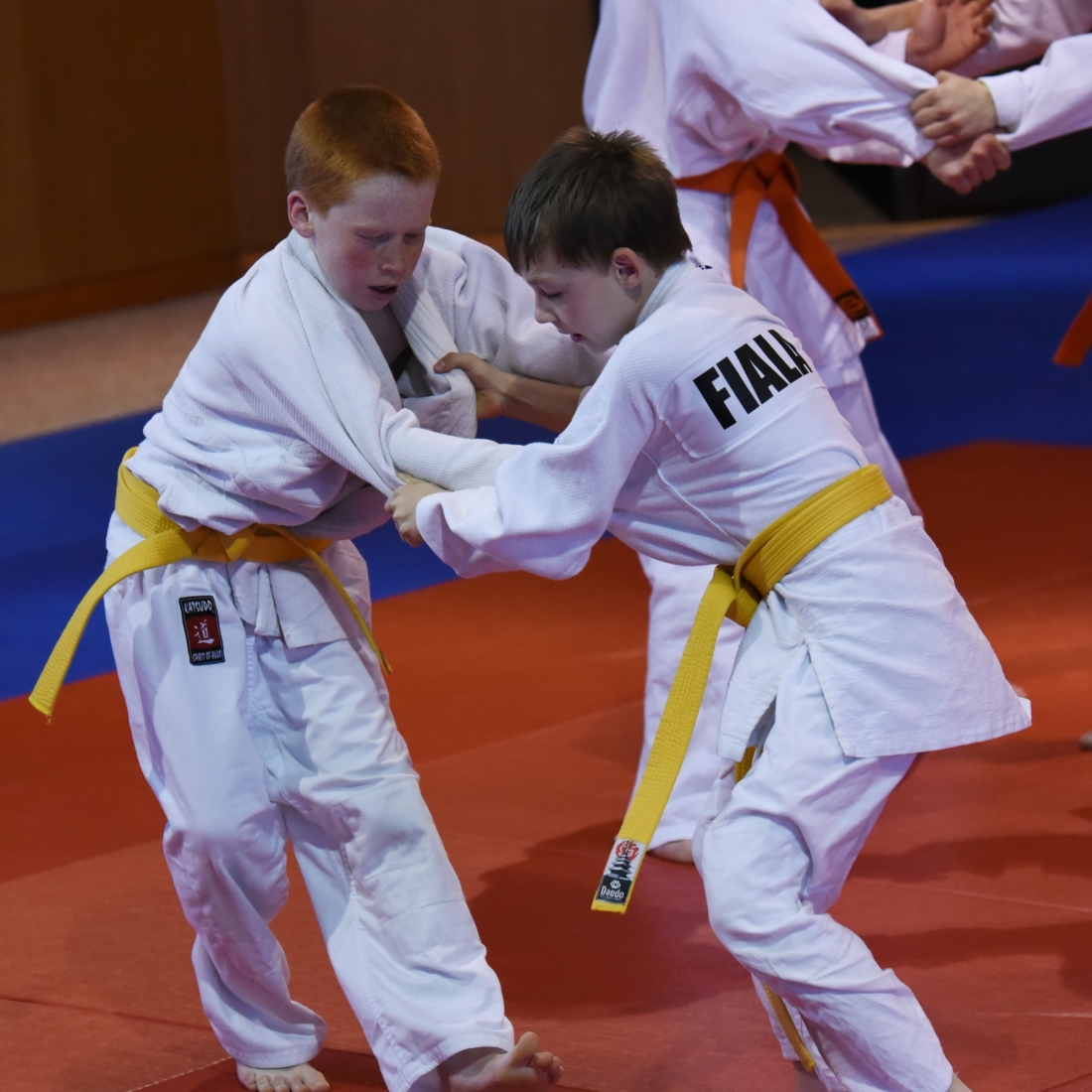 KT Pisek 2015_4_16.jpg