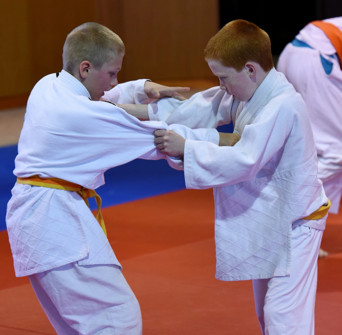 KT Pisek 2015_4_19.jpg
