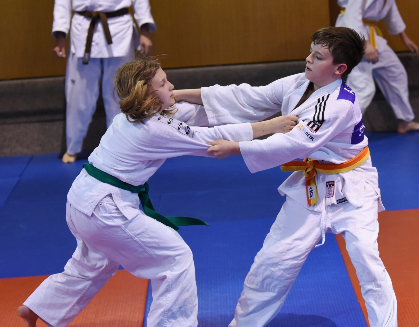 KT Pisek 2015_4_21.jpg
