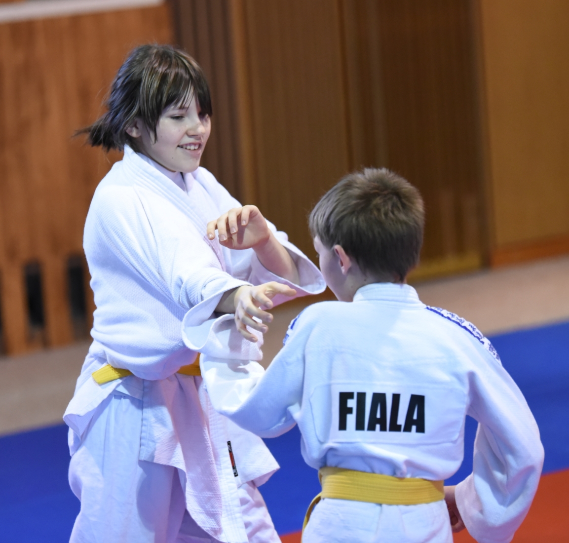 KT Pisek 2015_4_28.jpg