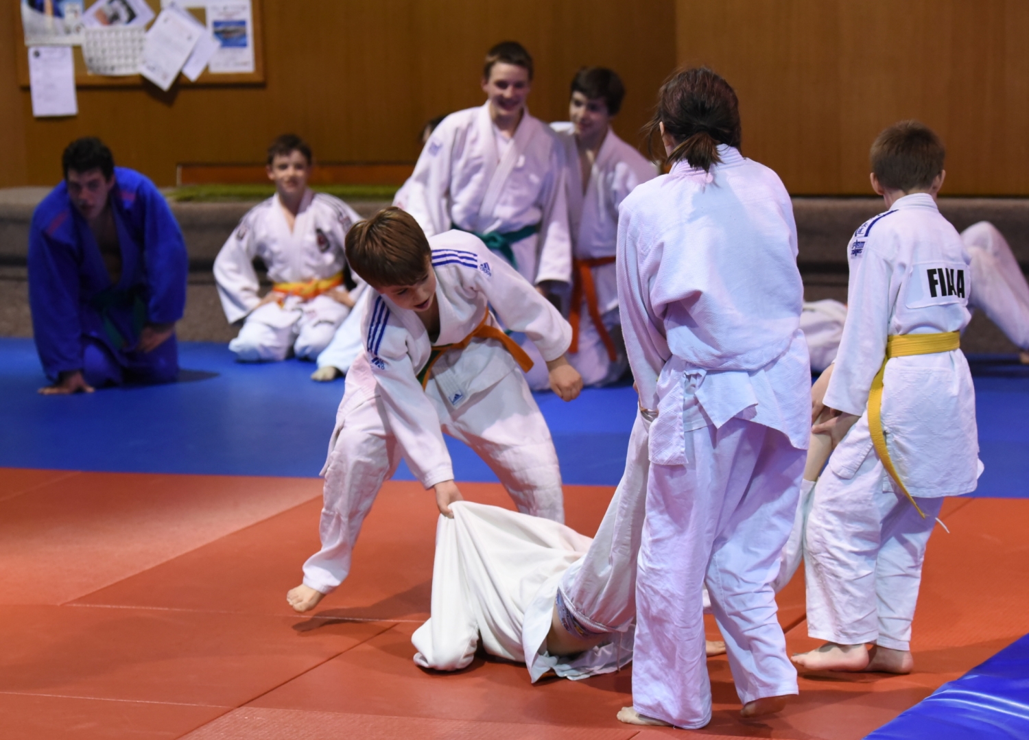 KT Pisek 2015_4_31.jpg