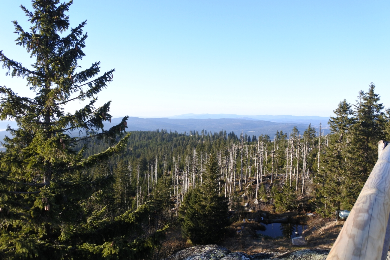 Kvilda_2015_27.jpg