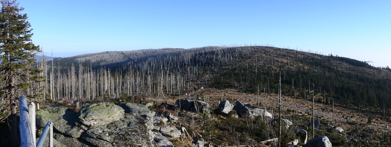 Kvilda_2015_30.jpg