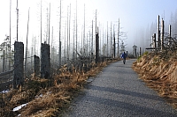 Kvilda_2015_06.jpg