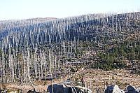 Kvilda_2015_28.jpg