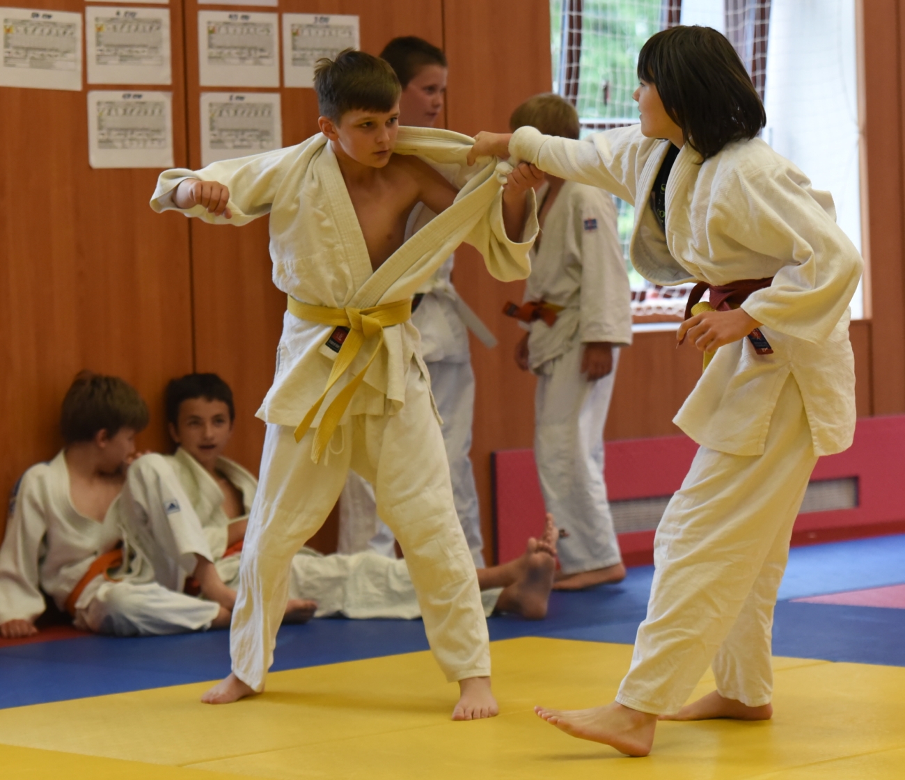 liga SKJ 015.jpg