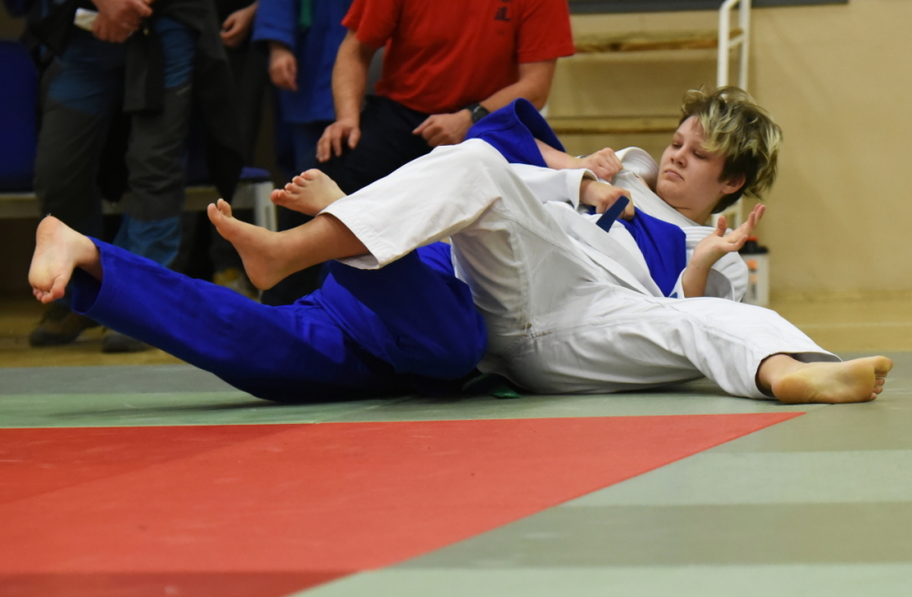 MCR dorost 2015_12.jpg