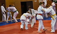 KT Pisek (13).jpg