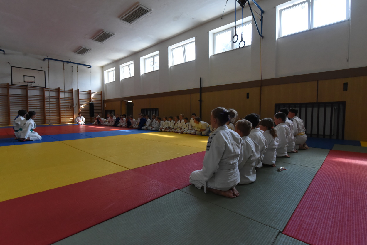 Vodnany_2015_06.jpg