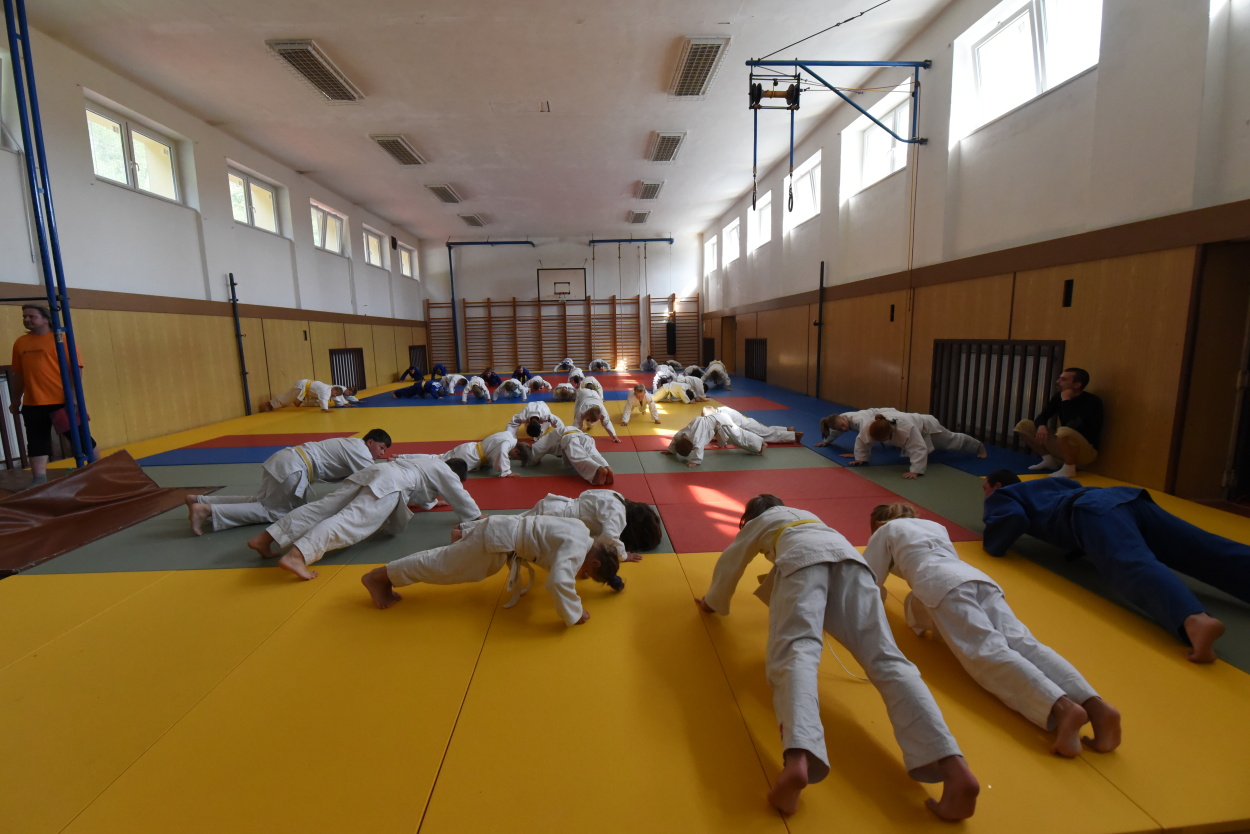 Vodnany_2015_07.jpg