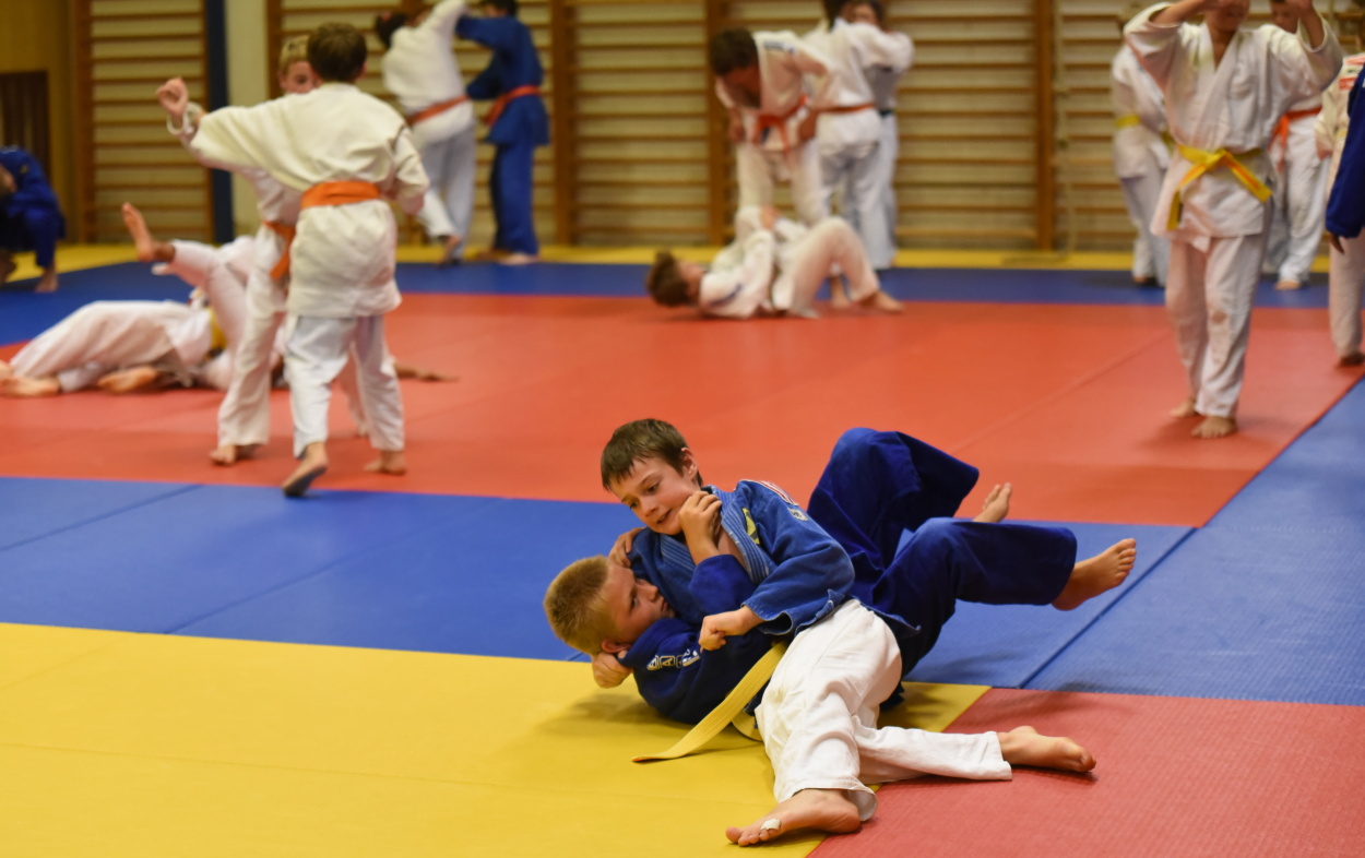 Vodnany_2015_106.jpg