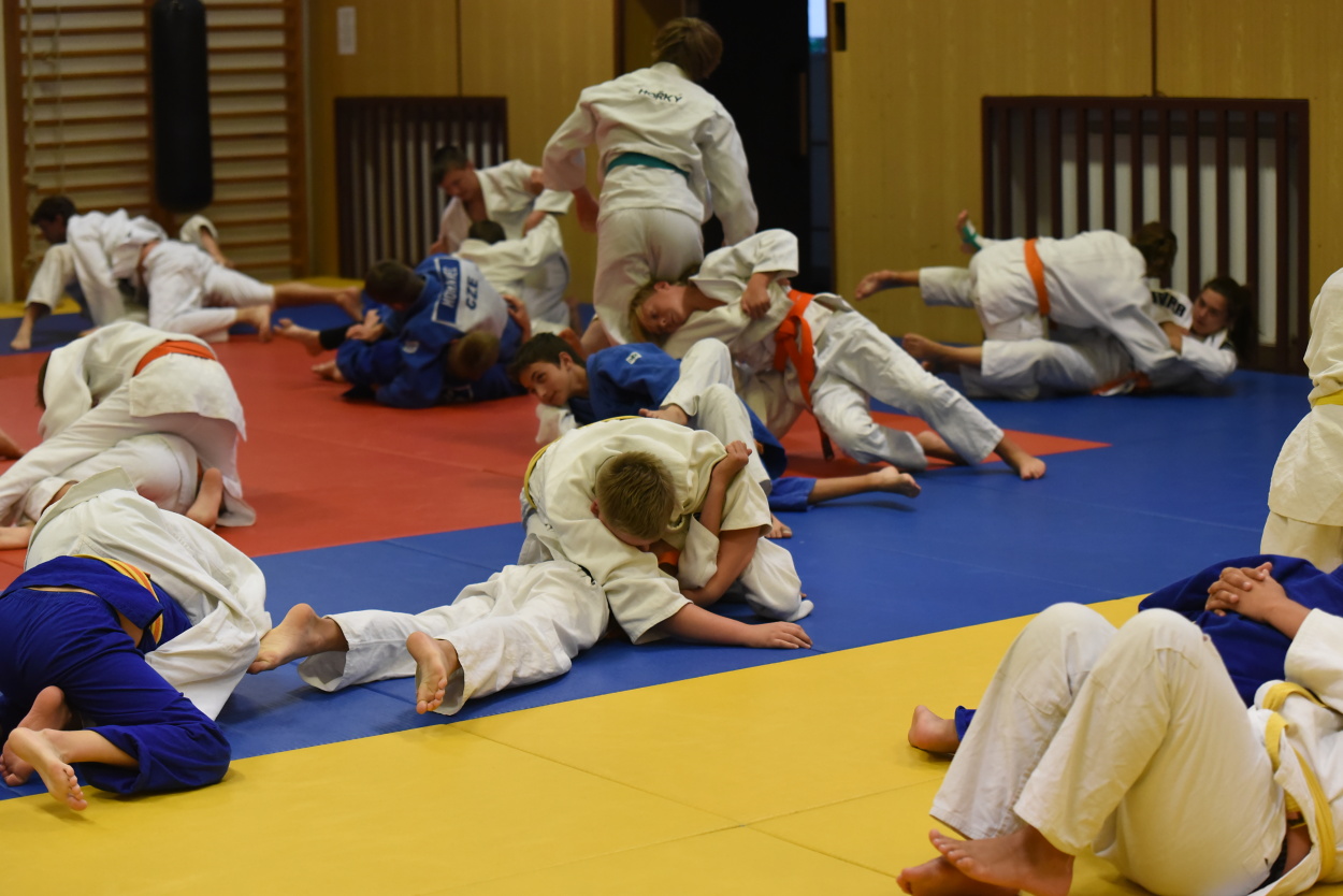 Vodnany_2015_87.jpg