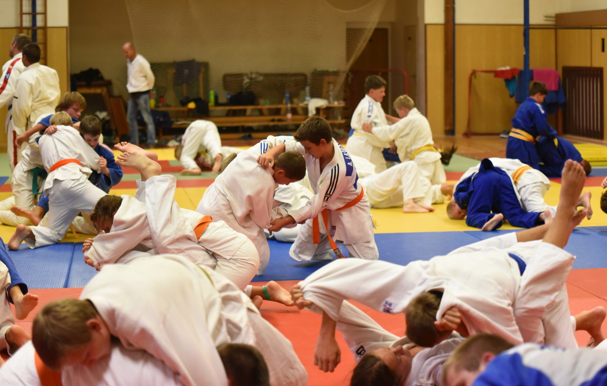 Vodnany_2015_91.jpg
