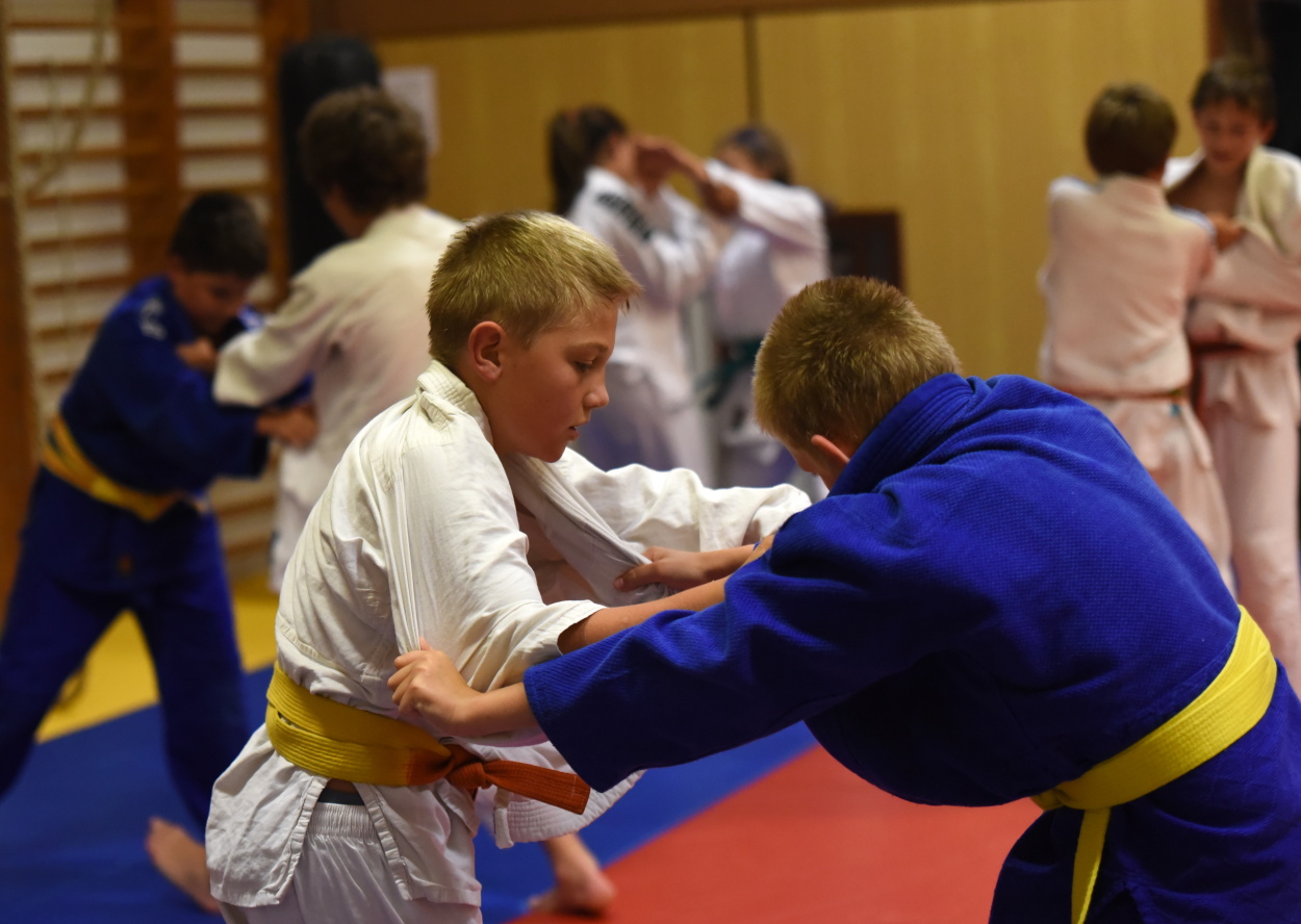 Vodnany_2015_99.jpg