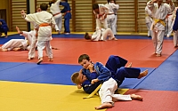 Vodnany_2015_106.jpg