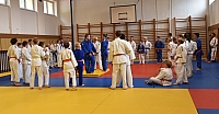 Vodnany_2015_121.jpg