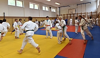 Vodnany_2015_122.jpg