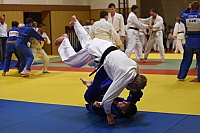 Vodnany_2015_96.jpg