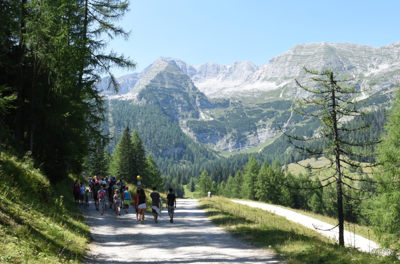 Wurzeralm_2015_05.jpg