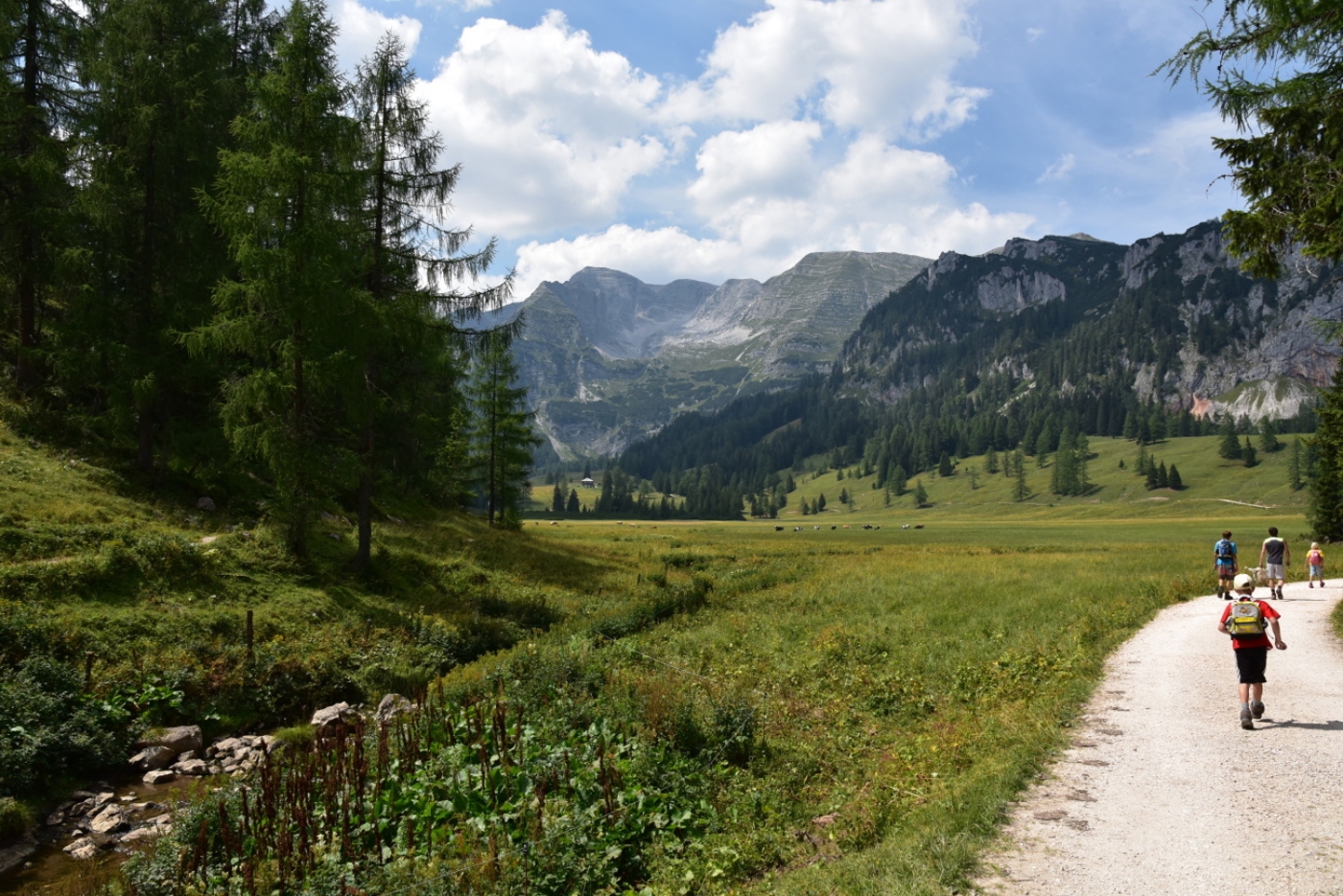 Wurzeralm_2015_29.jpg
