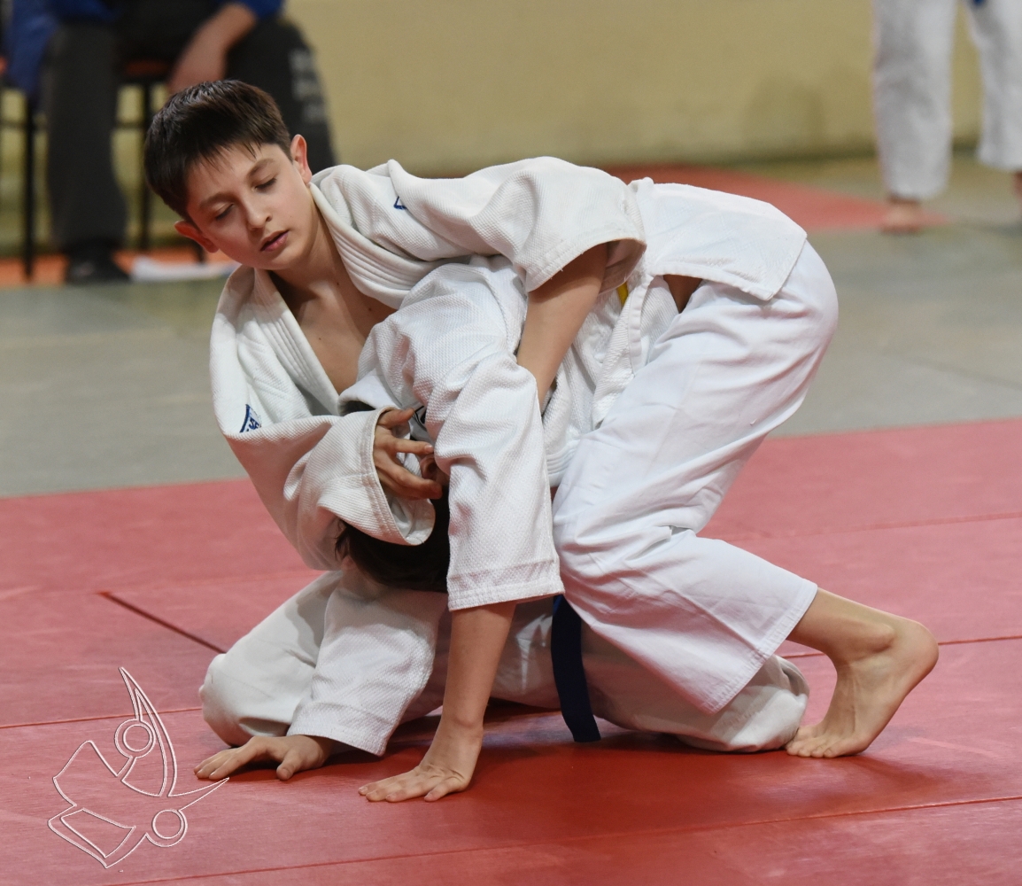DSC_1929.jpg