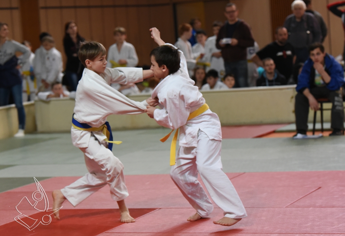 DSC_1956.jpg
