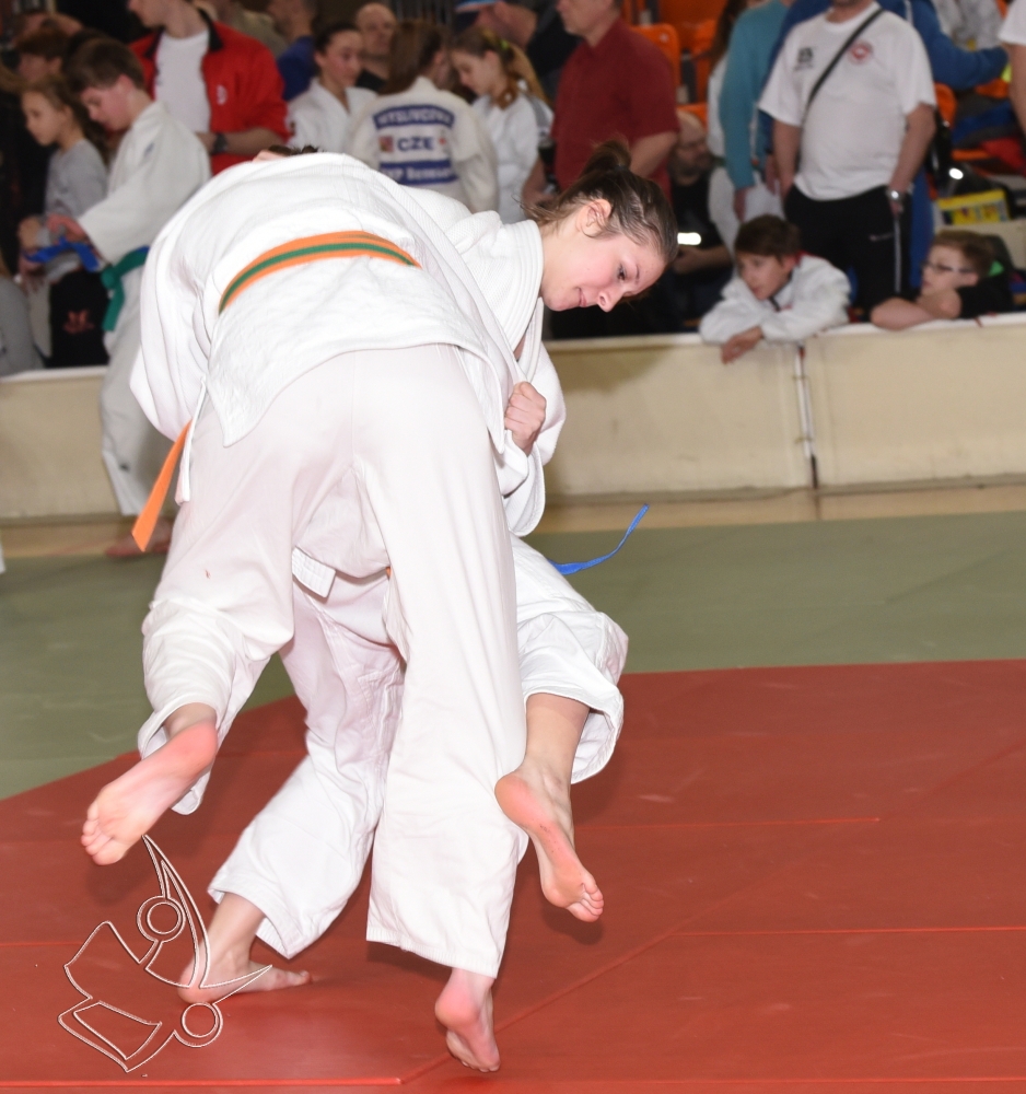 DSC_2082.jpg