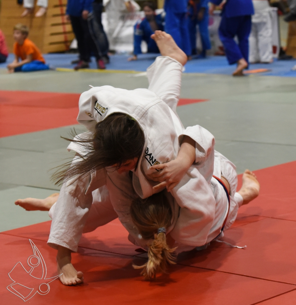 DSC_2545.jpg
