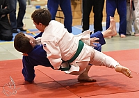 DSC_2616.jpg
