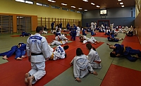 DSC_4553.jpg