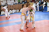 DSC_2959.jpg