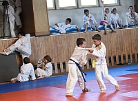 DSC_8507.jpg