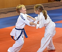 DSC_8517.jpg