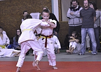 _DSC0137.jpg