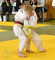 DSC_2936.jpg