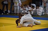 DSC_3008.jpg