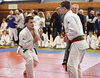 DSC_3011.jpg