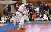 DSC_3017.jpg