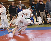 DSC_3021.jpg